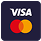 Visa Payment