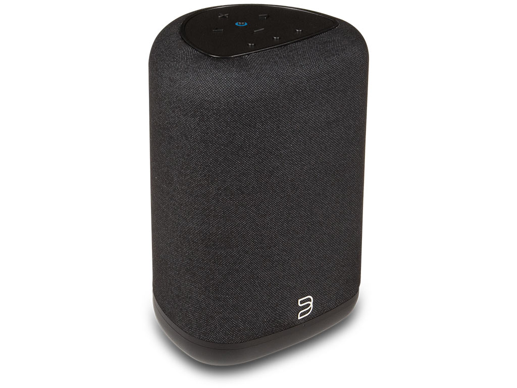 Bluesound Pulse Flex (P130) zwart