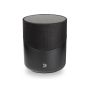 Bluesound Pulse M (P230) zwart
