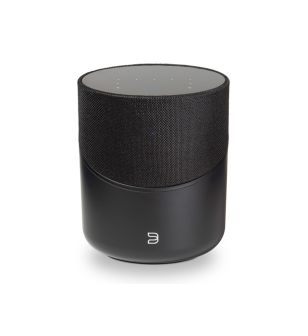 Bluesound Pulse M (P230) zwart