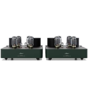 Fezz Olympia Mono Power Amplifier Evergreen
