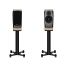 Dynaudio Confidence 20 luidspreker Blonde Wood