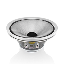 Continuum midrange driver